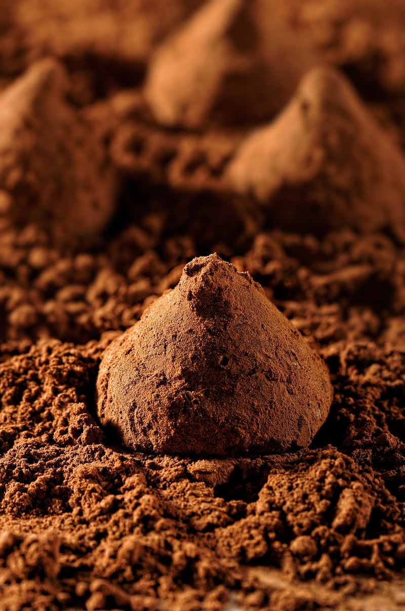 Chocolate Delights